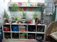 DSC00406
